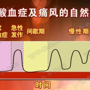 北京卫视20160206养生堂视频和笔记:曾学军《过节严防第四高》降尿酸的黄金时间