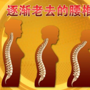 北京卫视20160217养生堂视频和笔记:刘忠军《走进腰椎的3D世界》