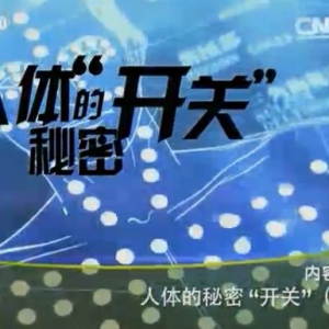 健康之路20160220视频和笔记:《人体的秘密开关》