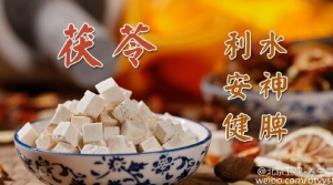 北京卫视20160221养生堂:《名老中医话方元—2》水心病、茯苓