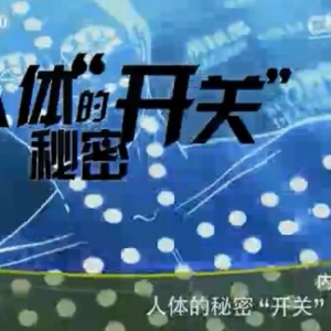 健康之路20160222:人体的秘密开关3、拔火罐缓解后背发凉、艾灸缓解腹部寒凉