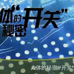 健康之路20160223:人体的秘密开关4、刺激保健大穴改善男性生殖功能