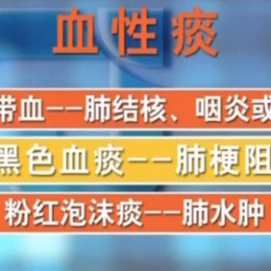 甘肃卫视20160301聚健康:外感热病巧辩证（3）温热壅肺证、清热润肺粥