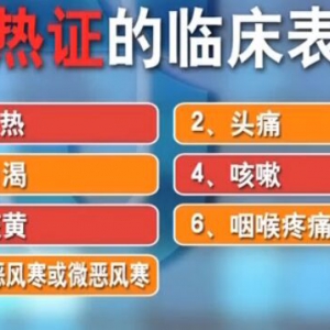甘肃卫视20160229聚健康:外感热病巧辩证（2）表热证、桑菊薄荷饮
