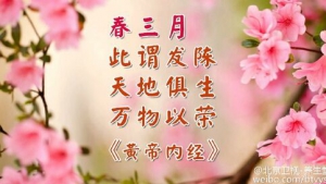 养生堂20160310视频和笔记:《春季防癌先防风》疏肝香囊和药枕的制作方法