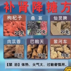 甘肃卫视聚健康20160321视频： 胡维勤《奇穴保健方（6）》补肾降糖方