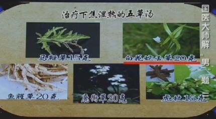 五草汤