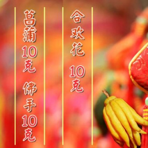 养生堂20160404视频和笔记:《名老中医话三宝——调脾胃》脾胃寒湿、脾胃虚弱