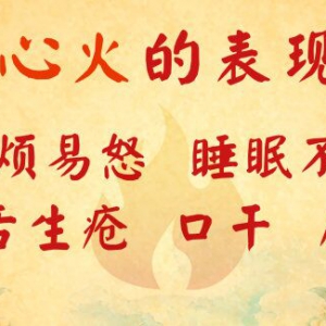 养生堂20160411笔记:心火的表现与调理、莲子龙眼汤的的功效、大枣山楂饮配方