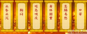 养生堂20160428视频笔记:毛丽军、《化痰祛湿防中风》、温胆汤、消食祛湿饮