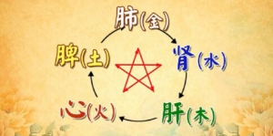 北京卫视20160429养生堂：花宝金、李光熙、气逆、气滞、气机失调