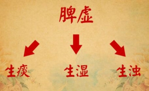 北京卫视20160609养生堂:王世东、脾虚与痛风、补脾操