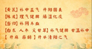 北京卫视20160621养生堂:脾虚怎么办？阴火怎么办？补中益气汤、健脾益气茶