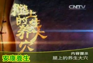 健康之路20160626视频笔记:赵宏、《腿上的养生大穴》、贴敷方