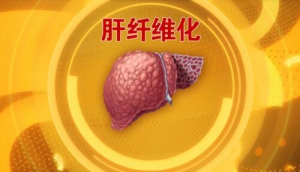 北京卫视20160705养生堂：孟庆华、蒋峰、《人体“化工厂”的保卫战》