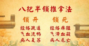 北京卫视20160720养生堂：八把半锁推拿法、白虎锁、返魂锁、青龙锁、紫金锁