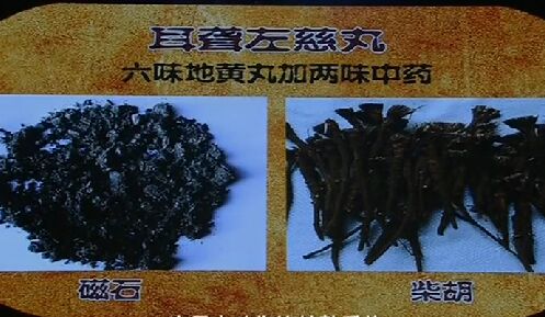 健康之路20160725视频和笔记:廉海红、舍针、赶黄草、耳尖放血、耳鸣