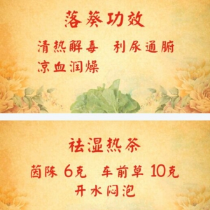 北京卫视20161006养生堂、养生三通法 、祛湿热茶、醒脑开窍保健操
