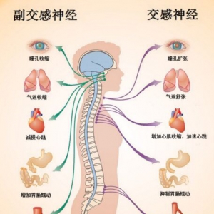 北京卫视20161010养生堂:世界精神卫生日特别节目