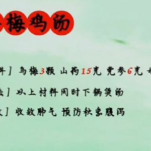 健康之路20161105《秋冬养生贵在收-2》呼吸操、收肺杏仁粥、参梅鸡汤