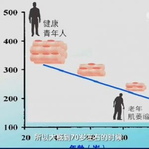 健康之路20161112视频笔记：严翊《要长寿巧运动-上》
