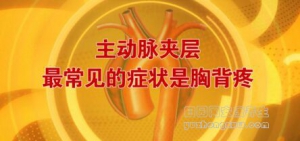 北京卫视20161201养生堂《南北名家话健康3-大血管》舒畅、符伟国