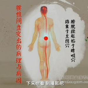 健康之路20161225《调脊柱保健康（下）》脊柱锻炼保健操