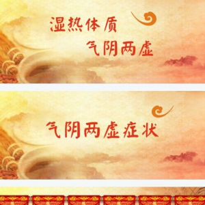 养生堂20161230《名医夫妻话养生-2》控糖经验方