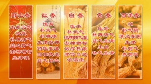 养生堂20170208杨志旭《动静平衡保安康》人参的疗效区别