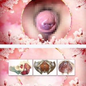 养生堂20170210朱兰《守护女性的健康“底盘”》