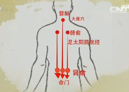 健康之路20170210王莹莹《手到病除(上)》刮痧