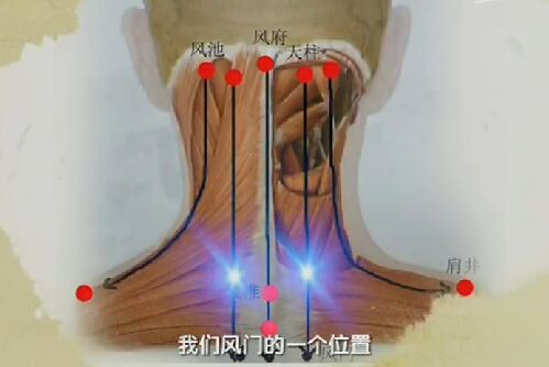 健康之路20170211王莹莹《手到病除(中)》颈痛、腰痛、腿麻