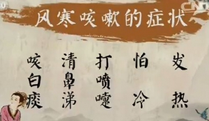 健康之路20170215苑惠清《止咳药你用对了吗（上）》咳嗽