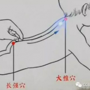 健康之路20170222佘继林《好父母 会推拿（上）》