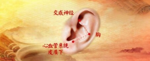 养生堂20170228徐浩《血管保护“心”方法》
