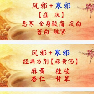 养生堂20170321吴银根《春季教您巧润肺》