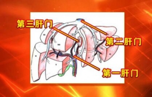 养生堂20170419吴健雄《“揪出”癌症背后的罪魁祸首》