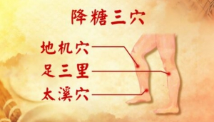 养生堂20170427余秋平《破解糖尿病的致病密码》