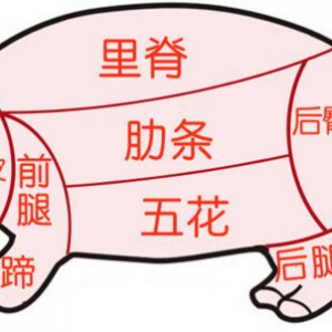 养生堂20170503孟化《搬走致命脂肪》