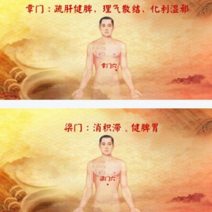 养生堂20170515吴忠朝《长寿穴中找》