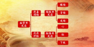 养生堂20170519远离糖尿病并发症的八字诀