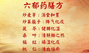 养生堂20170520仝小林、赵林华《破解六郁巧防糖》
