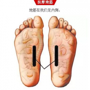 健康之路20170523张苏闽、丁义江《中医对症止腹泻》