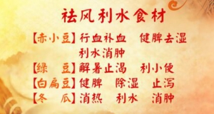 养生堂20170602冯兴华《名老中医的祛湿法》