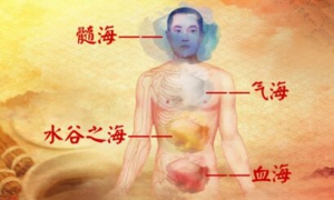 养生堂20170610付国兵《充盈四海人长寿—1》