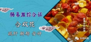 健康之路20170725吴兵《爱激动的肠胃》