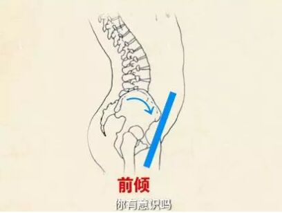 健康之路20171029《骨正才能保健康(四)》骨盆矫正