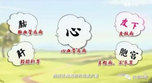 健康之路20180203赵慧玲《泻泻更健康》（上）心脉瘀阻、泻血疗法