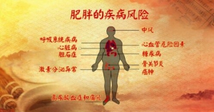 养生堂20180318《破解生命的九种密码-2》气虚型肥胖、痰湿挟瘀