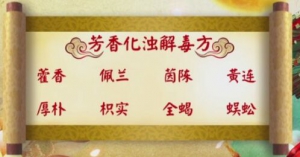 养生堂20180320《祛除人体第七邪-2》化浊解毒法怎样治疗肿瘤？